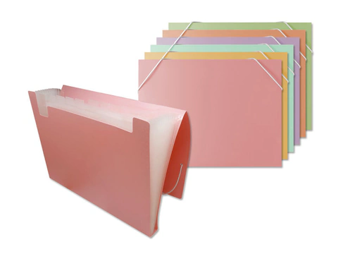 Carpeta Fuelle A4 Pp 12 Departamentos Pastel R: 326625